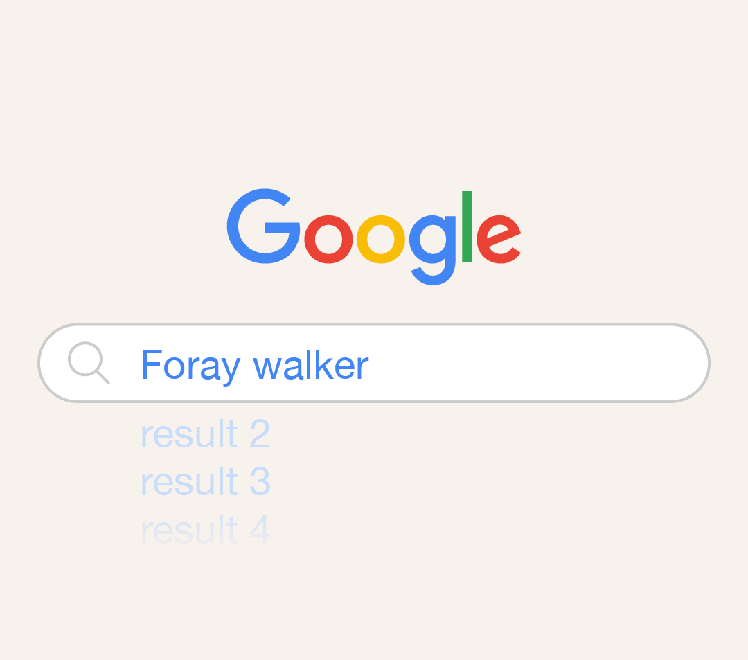 Foray Design Google Search results